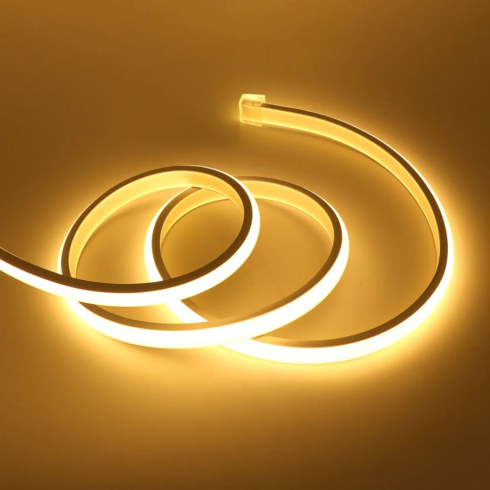Ruban LED COB étanche IP68 pour l'extérieur, 5 à 30 m – Lumbres, sur fond clair