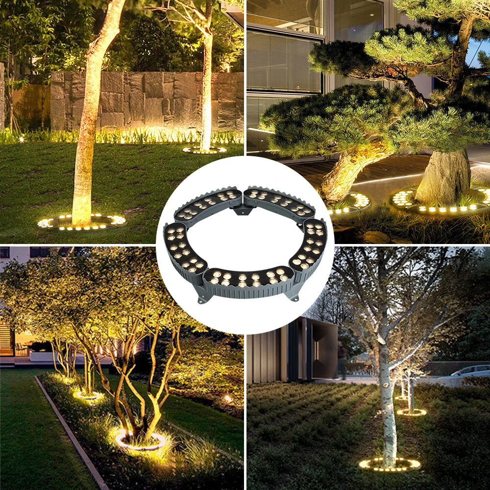 Pyla, spots led pour mettre un arbre en lumière, en situation