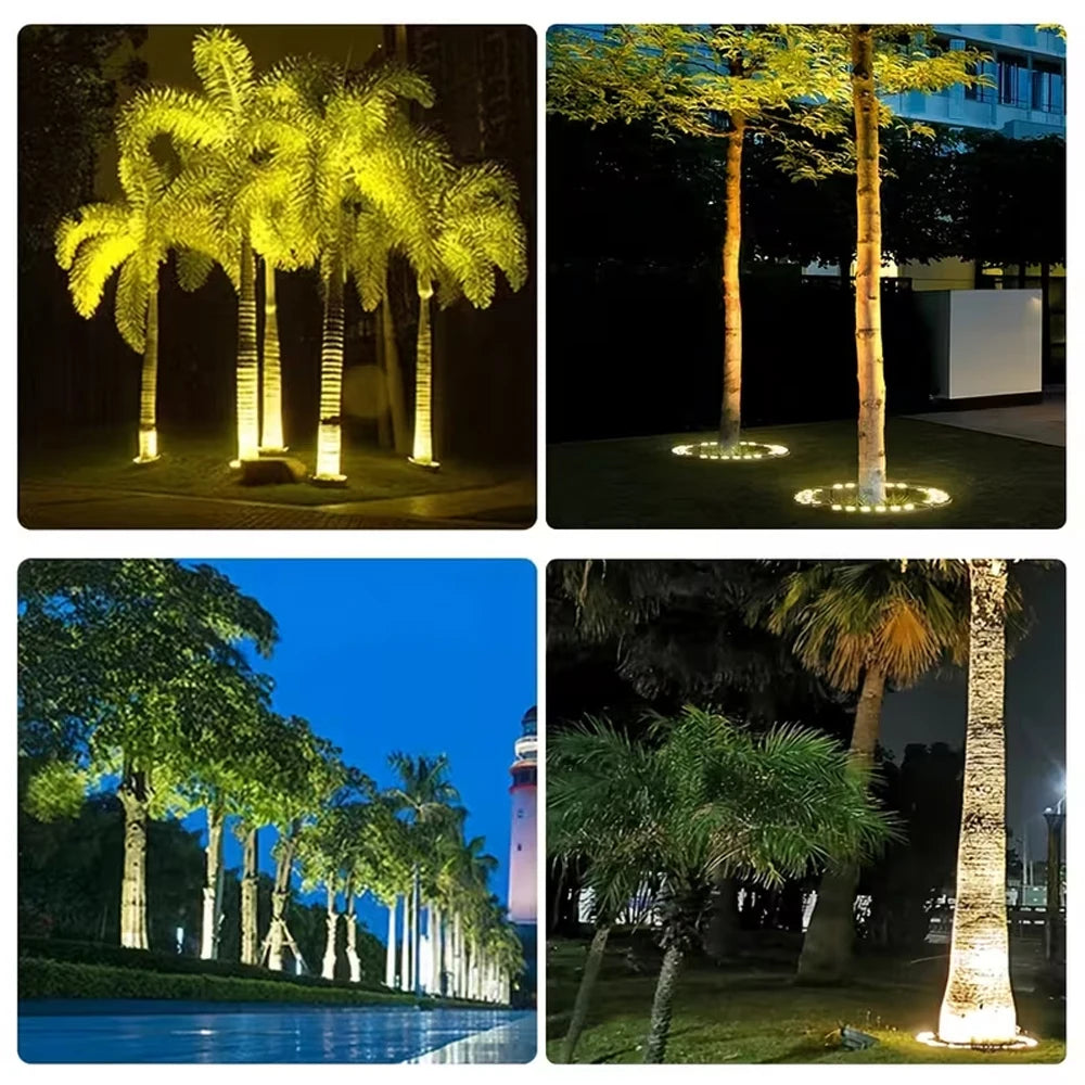 Pyla, spots led pour mettre un arbre en lumière, en situation