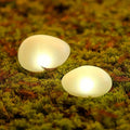 Molène, galet lumineux solaire pour le jardin, default title