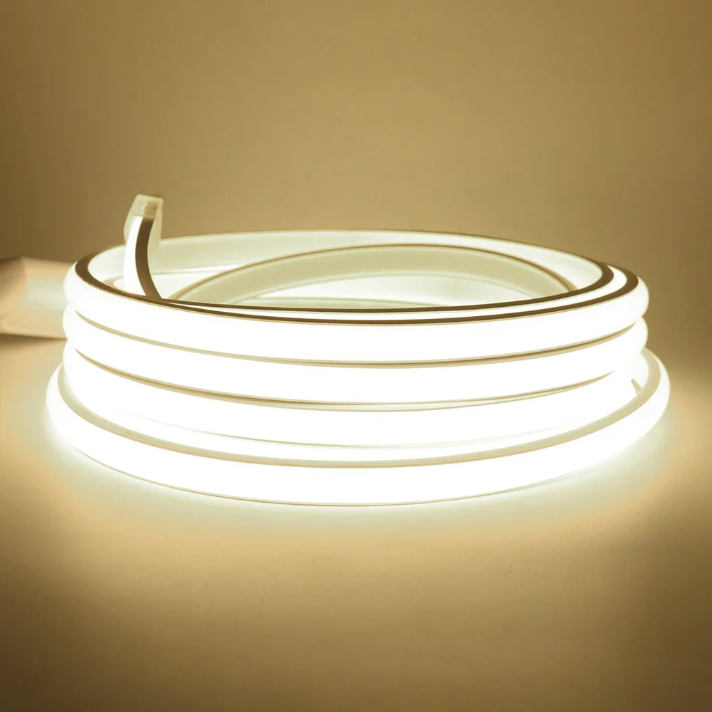 Ruban LED COB étanche IP68 pour l'extérieur, 5 à 30 m – Lumbres, sur fond clair