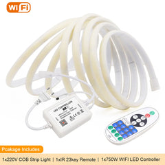 Wi-Fi + télécommande