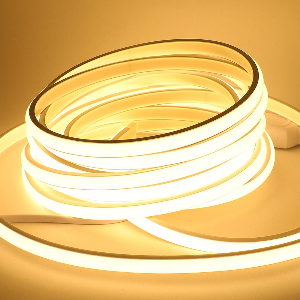 Ruban LED COB étanche IP68 pour l'extérieur, 5 à 30 m – Lumbres, sur fond clair